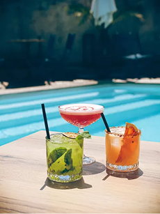 Photo de la piscine du restaurant Le Jardin des Frangins