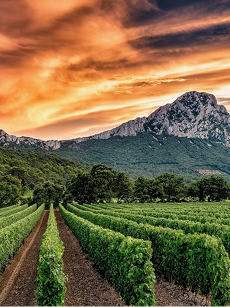 Photo du Pic Saint-Loup au couché de soleil